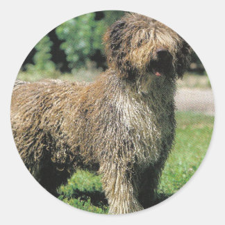 Pegatinas de perritos de agua de España