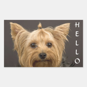 Pegatinas de perro cachorro Yorkshire Terrier York
