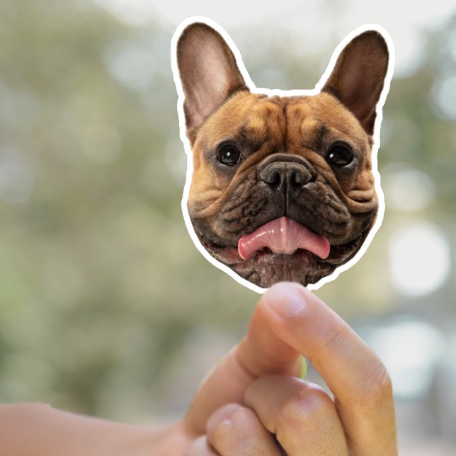 Pegatinas de perro personalizado Pegatina de cara  (Subido por el creador)