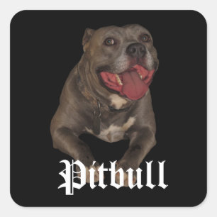 Pegatinas de Perro Pitbull