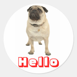 Pegatinas de perro pug cachorro saludo Hola