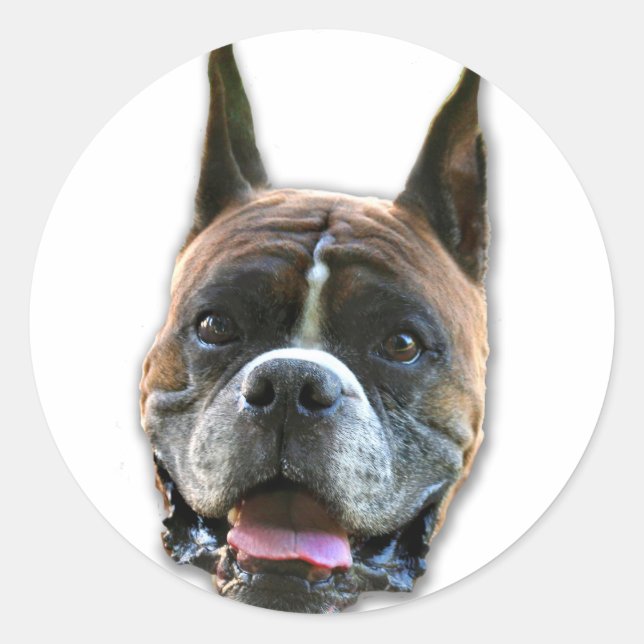 Pegatinas de perros Boxer (Anverso)
