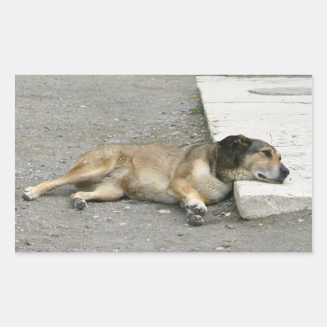 Pegatinas de perros cansados, personalizar (Anverso)