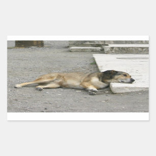 Pegatinas de perros cansados, personalizar