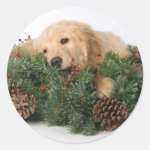 Pegatinas de perros de Navidades educados