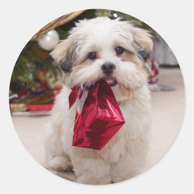 Pegatinas de perros de Navidades educados (Anverso)