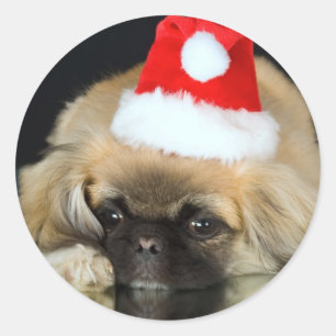 Pegatinas de perros de Navidades educados