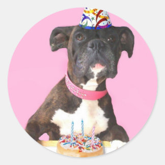Pegatinas de perros del Boxer de Cumpleaños Feliz