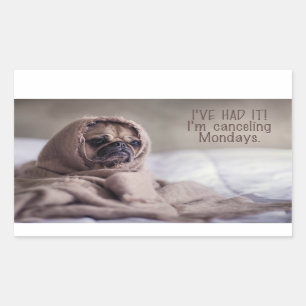 Pegatinas de perros divertidos