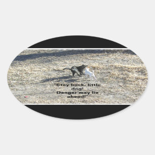 Pegatinas de Perros Pequeños De Atrás