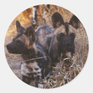 Pegatinas de perros salvajes