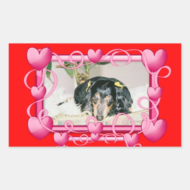 PEGATINAS de personalizable - AGREGAR SUS PROPIOS  (Anverso)