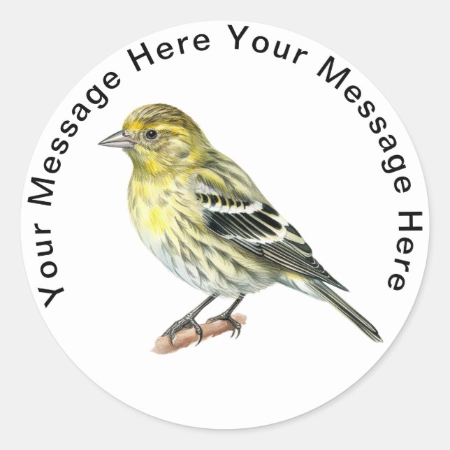 Pegatinas de Pine Siskin (Anverso)