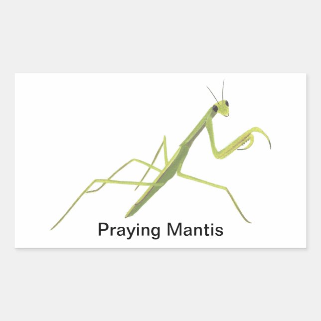 Pegatinas de pintura de insectos de Praying Mantis (Anverso)