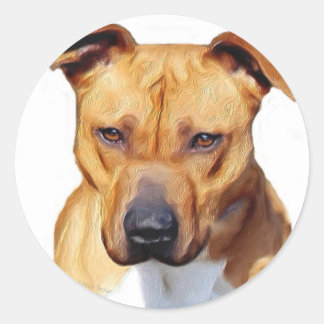 Pegatinas de Pitbull