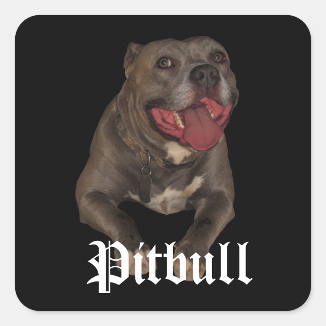 Pegatinas de Pitbull Dog (Anverso)