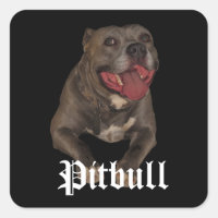 Pegatinas de Pitbull Dog