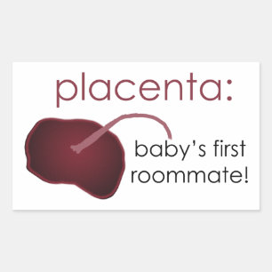 Pegatinas de Placenta