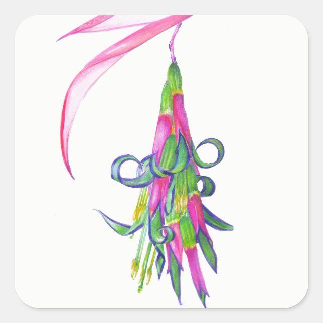 Pegatinas de plantas de amistad (Anverso)