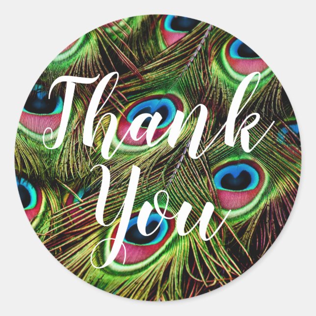 Pegatinas de pluma de pavo real de agradecimiento (Anverso)