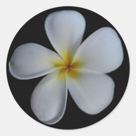 Pegatinas de Plumeria