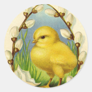 Pegatinas de pollito de Pascua