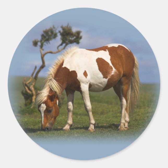 Pegatinas De Pony Y Lone Gorse (Anverso)