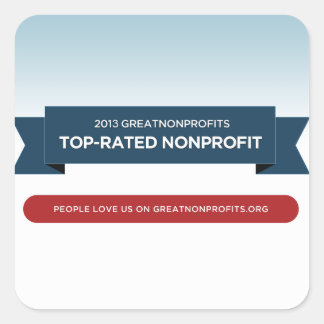 pegatinas de Premios GreatNonprofit 2013