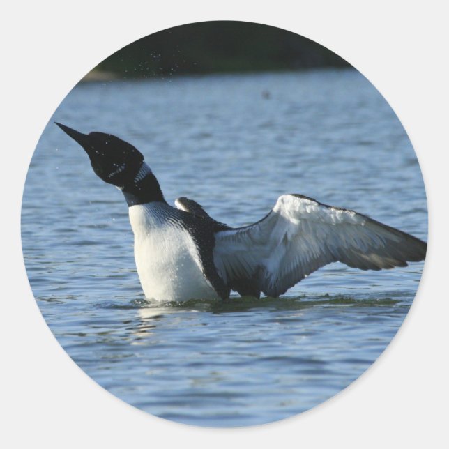 Pegatinas de préstamos (Anverso)