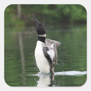 Pegatinas de préstamos