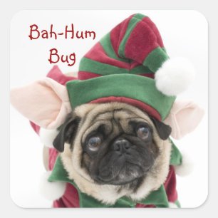 Pegatinas de pug navideño