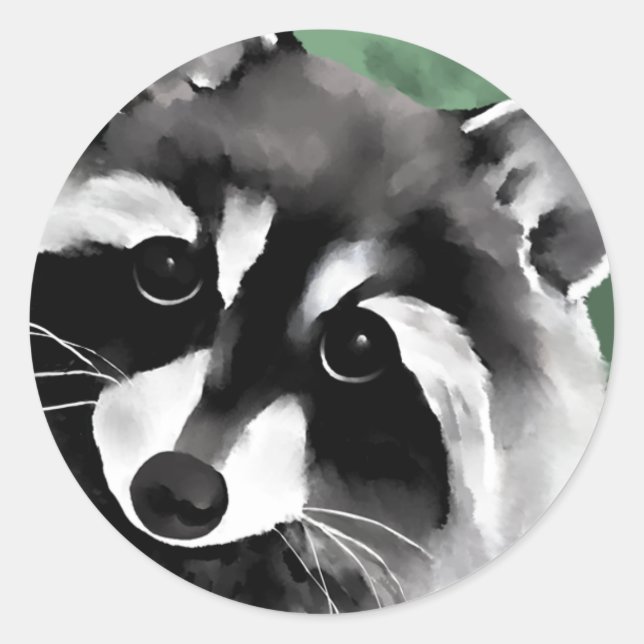 Pegatinas de Raccoon (Anverso)