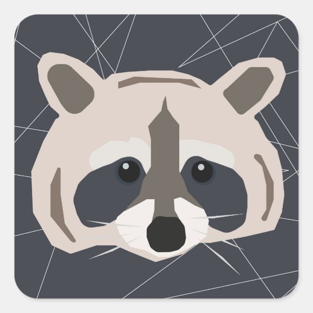 Pegatinas de Raccoon (Anverso)
