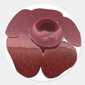 Pegatinas de Rafflesia