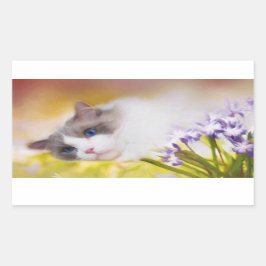 Pegatinas de Ragdoll Cat