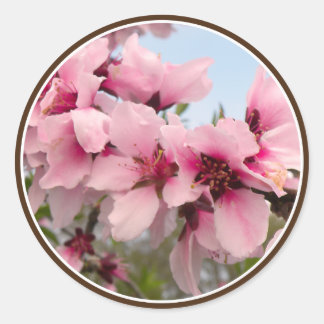 Pegatinas de Rama de Flores Rosa