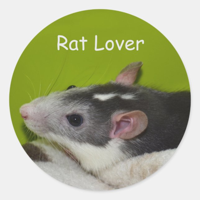 Pegatinas de Rat Lover (Anverso)