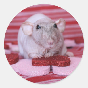 Pegatinas de Rat Valentine