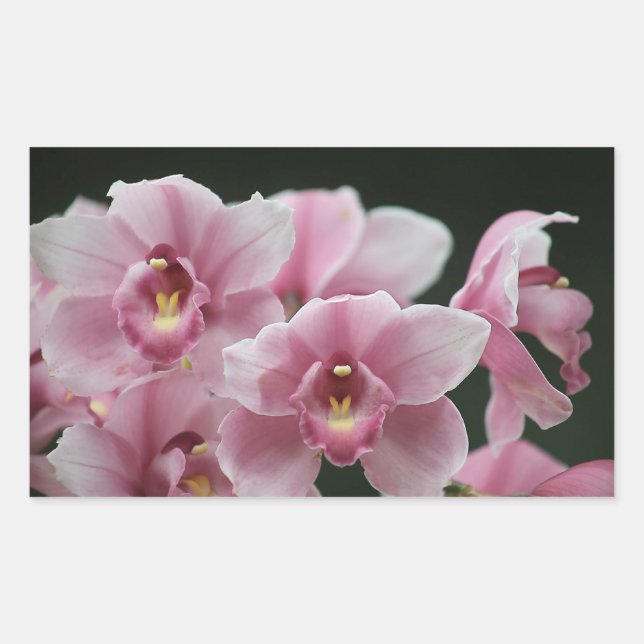 pegatinas de rectángulos de cierre de orquídeas ro (Anverso)