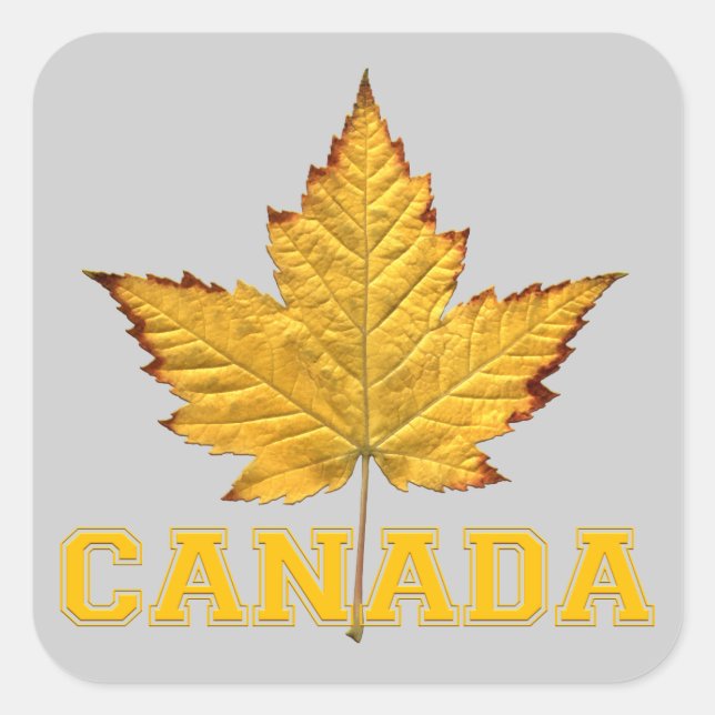 Pegatinas de recuerdo de Canadá Pegatina Maple Lea (Anverso)