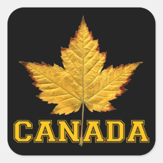 Pegatinas de recuerdo de Canadá Pegatina Maple Lea