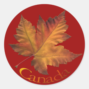 Pegatinas de recuerdo de Canadá Pegatina Maple Lea