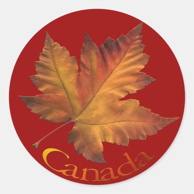 Pegatinas de recuerdo de Canadá Pegatina Maple Lea (Anverso)