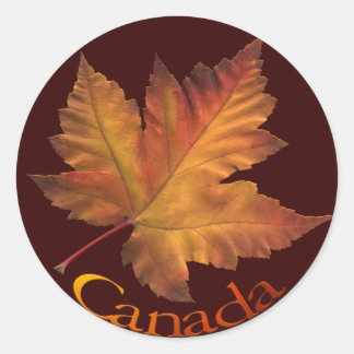Pegatinas de recuerdo de Canadá Pegatina Maple Lea