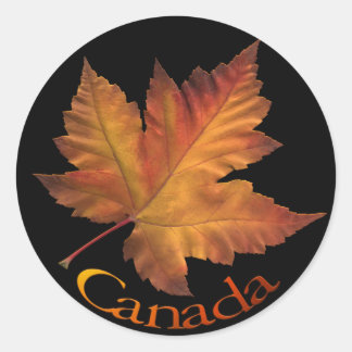 Pegatinas de recuerdo de Canadá Pegatina Maple Lea