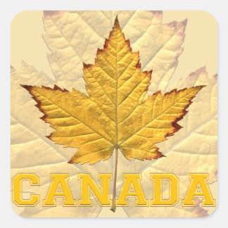 Pegatinas de recuerdo de Canadá Pegatina Varsity C