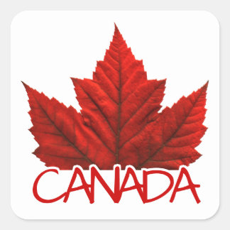 Pegatinas de recuerdo de Canadá Pegatinas de hojas