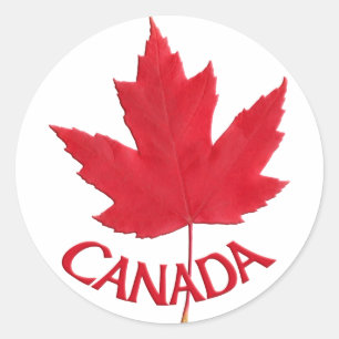 Pegatinas de recuerdo de Canadá Pegatinas de hojas