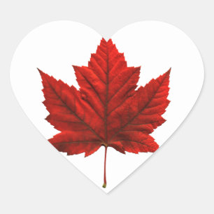 Pegatinas de recuerdo de Canadá Pegatinas de hojas