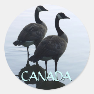 Pegatinas de recuerdo de Canadá Pegatinas de oca d